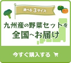 九州産の野菜セットを全国へお届け