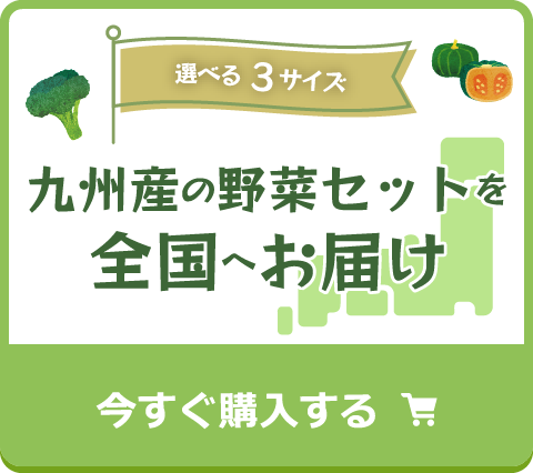 九州産の野菜セットを全国へお届け